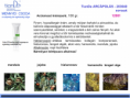 /album/fenykepgaleria/upload3272013103131193-16-meli-png/